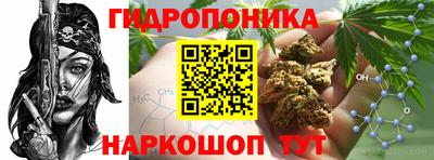 хмурый Донской