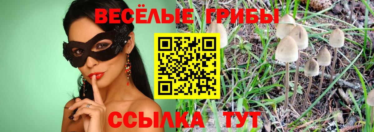 Псилоцибиновые грибы мухоморы Моздок