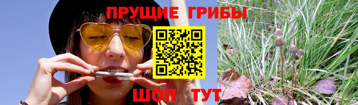 Псилоцибиновые грибы мухоморы  где можно купить наркотик  Моздок  Вход с VPN 